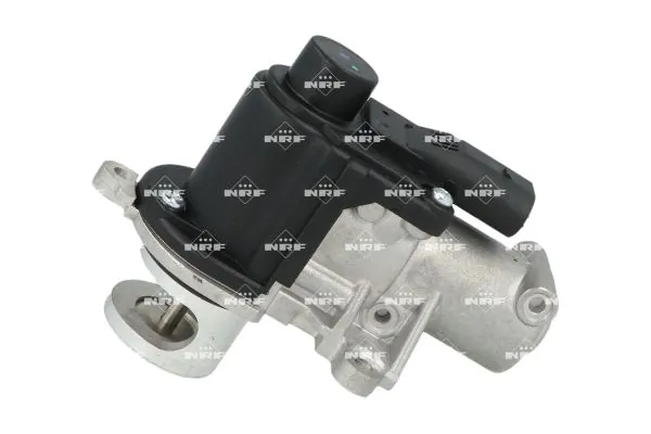EGR Valve 48712