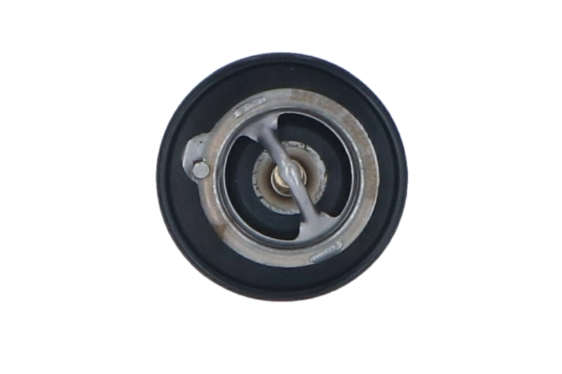 Thermostat, coolant EASY FIT 725143