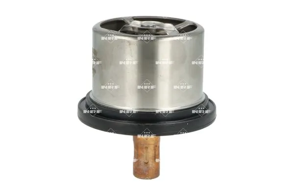 Thermostat, coolant 725099