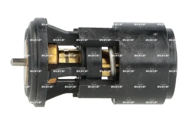 Thermostat, coolant 725133