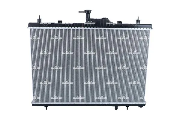 Radiator, engine cooling 550231