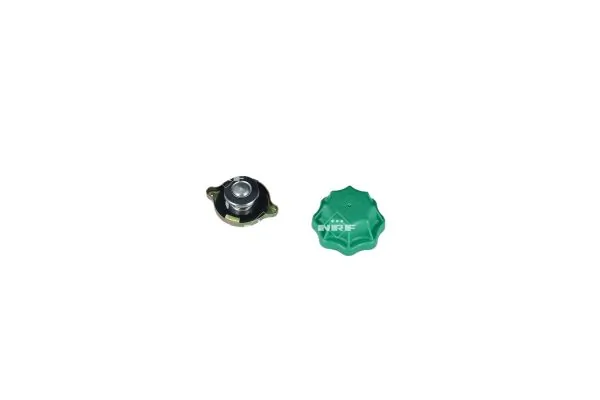 NRF 454169 Expansion Tank, coolant