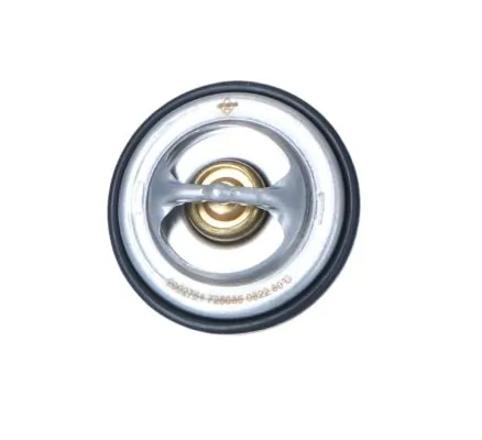 Thermostat, coolant EASY FIT 725086