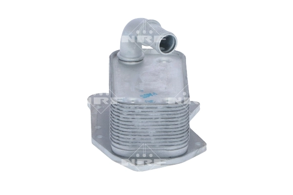 Oil Cooler, engine oil 31341