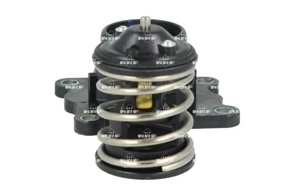 Thermostat, coolant 725398