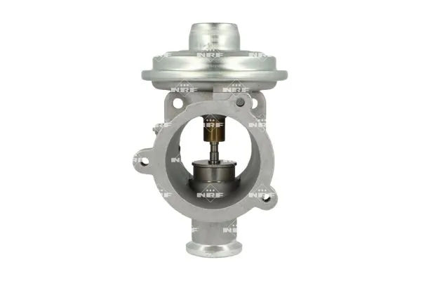 EGR Valve 48691