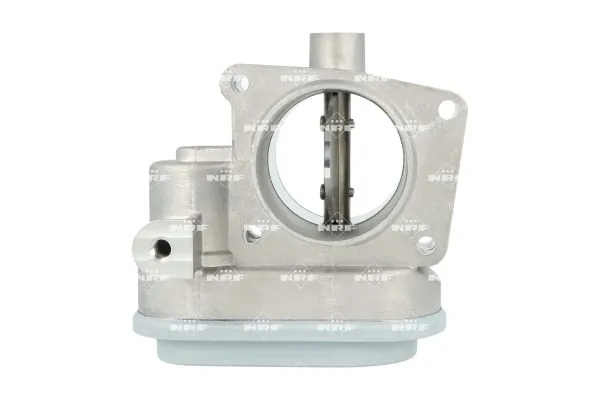 Throttle Body 408049