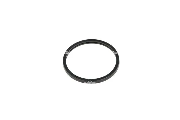 NRF 725183 Thermostat, coolant