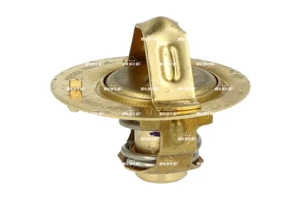 Thermostat, coolant 725259