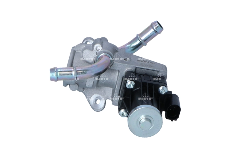 EGR Valve 48317