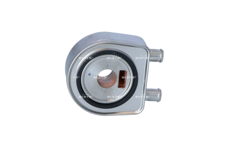 Oil Cooler, engine oil 31247