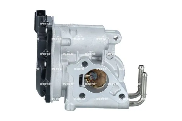 EGR Valve 48698