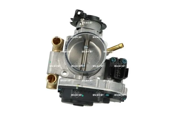 Throttle Body 408020