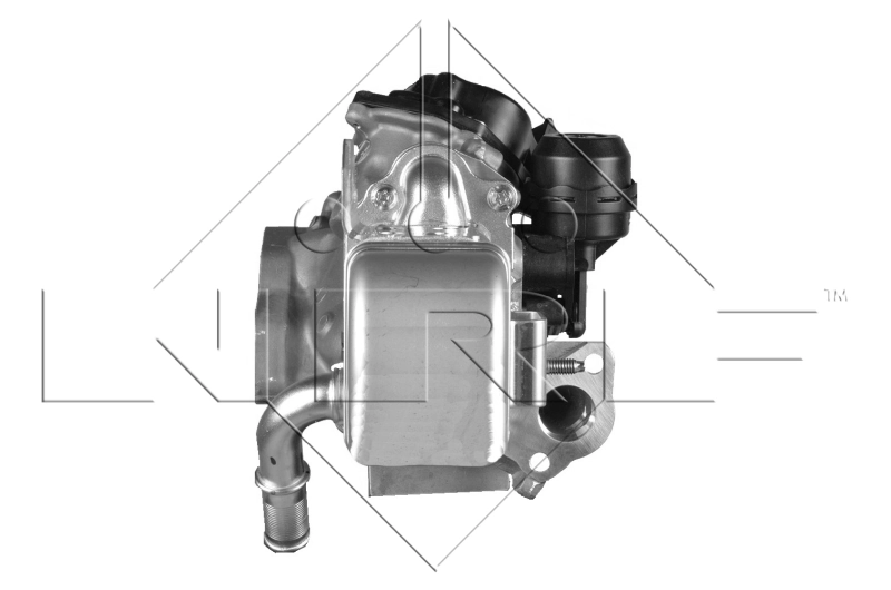 EGR Valve 48204