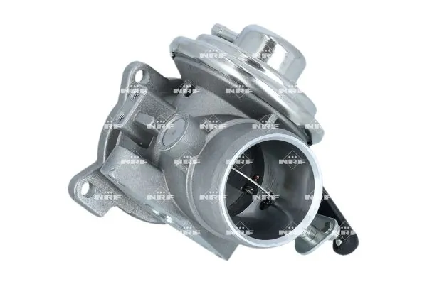 EGR Valve 48705