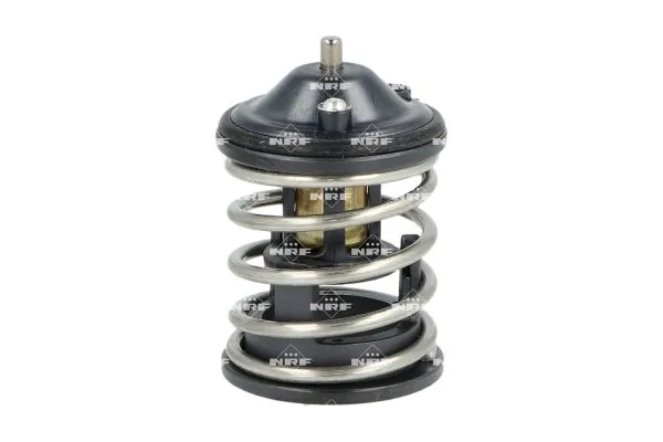 Thermostat, coolant 725220