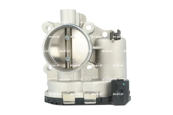 Throttle Body 408065