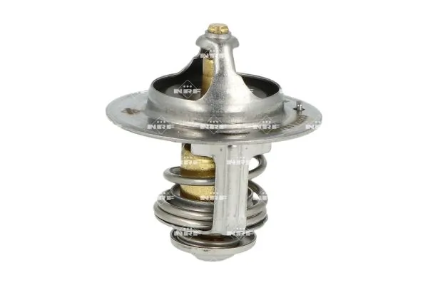 Thermostat, coolant 725233