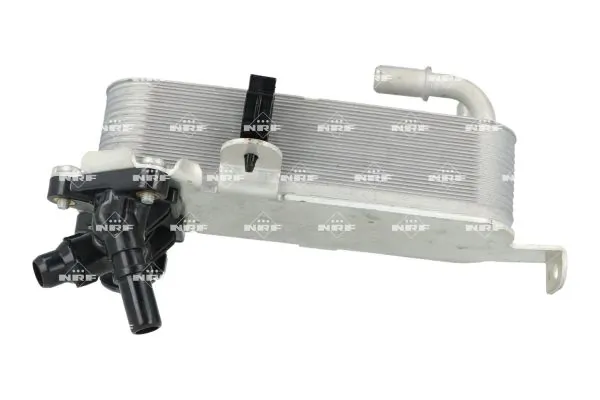 Oil Cooler, automatic transmission 310067