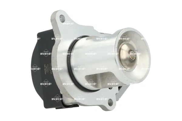 NRF 48737 EGR Valve