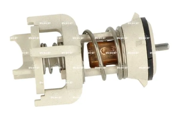 Thermostat, coolant 725095