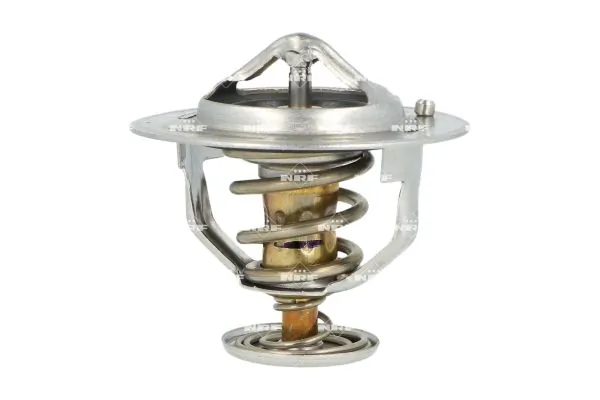 Thermostat, coolant 725425