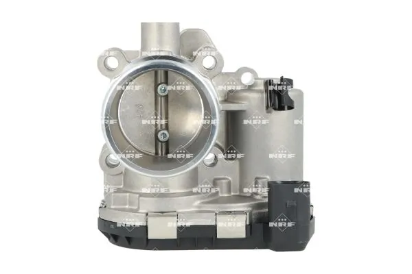 Throttle Body 408043