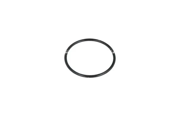 NRF 725188 Thermostat, coolant