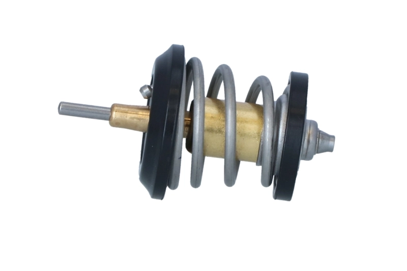 Thermostat, coolant 725250