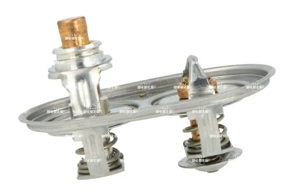 NRF 725393 Thermostat, coolant