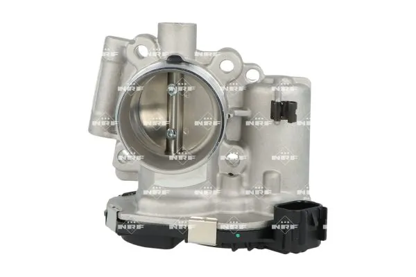 Throttle Body 408064