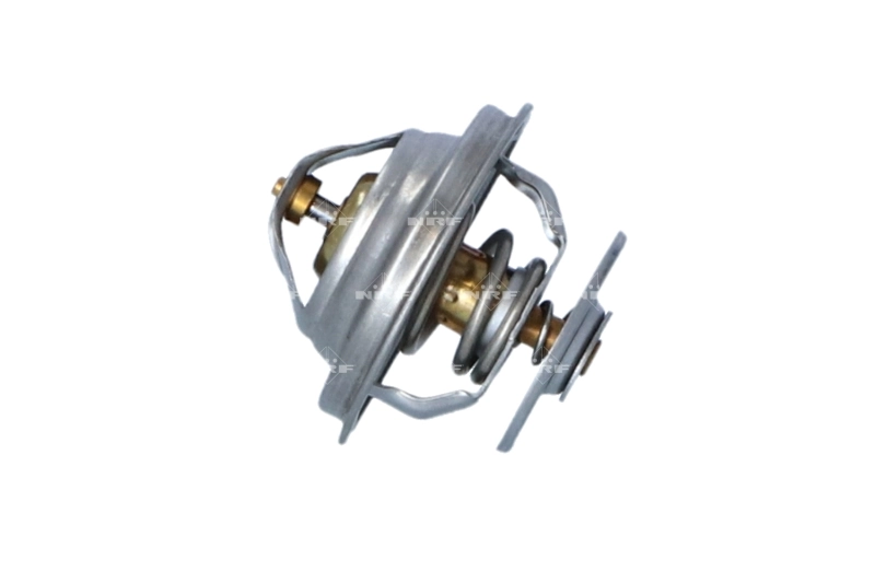 Thermostat, coolant 725197