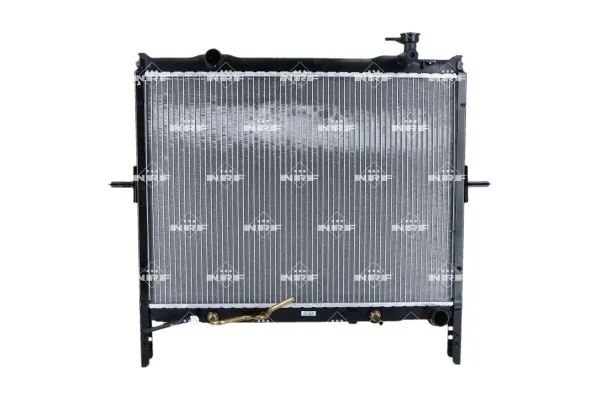 Radiator, engine cooling 550095