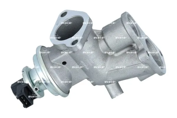 EGR Valve 48702
