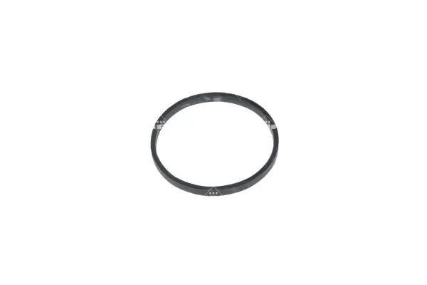 Thermostat, coolant 725245