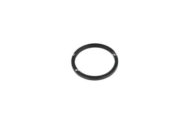 Thermostat, coolant EASY FIT 725205