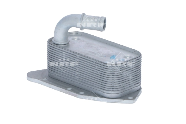 Oil Cooler, engine oil 31341