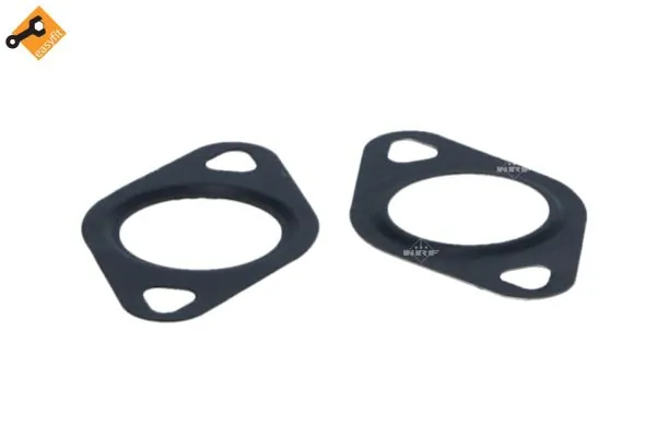 EGR Valve EASY FIT 48396