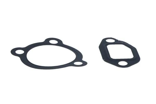 EGR Valve EASY FIT 48331