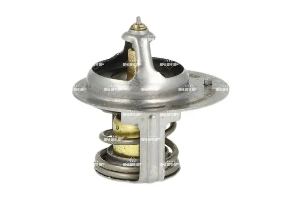 Thermostat, coolant 725057