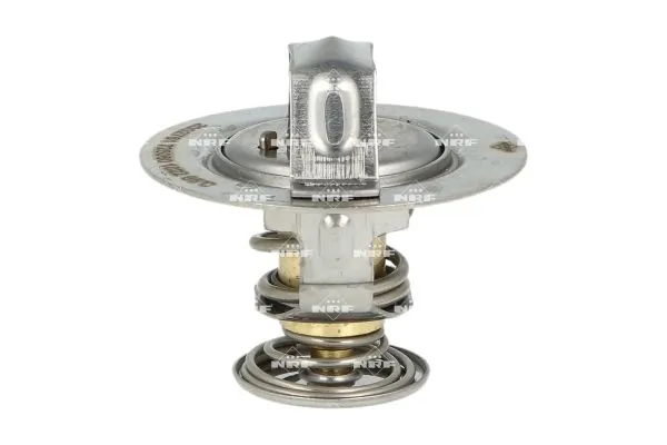 Thermostat, coolant 725060