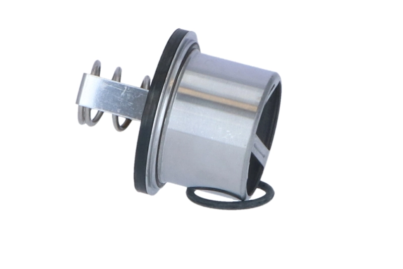 Thermostat, coolant 725020