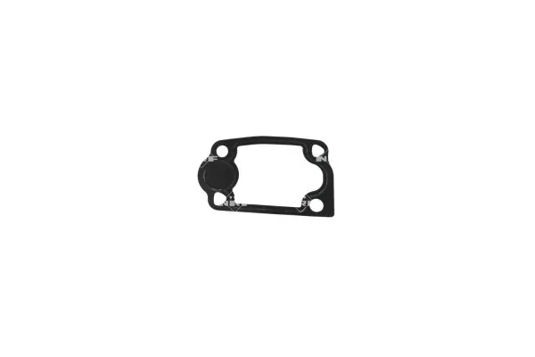 Thermostat, coolant EASY FIT 725400