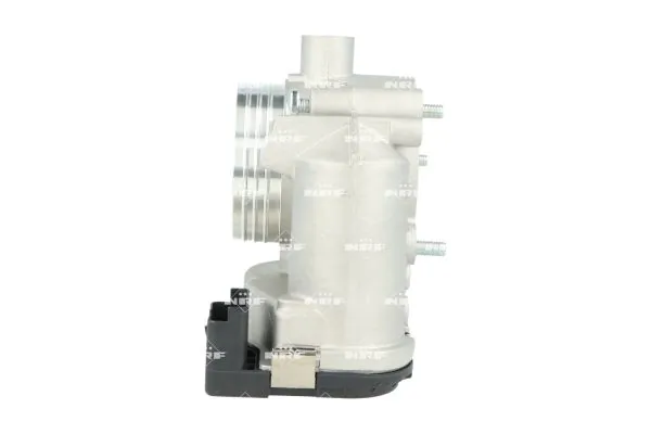 Throttle Body 408041