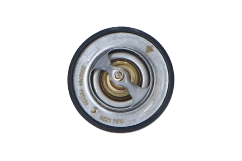 Thermostat, coolant EASY FIT 725131