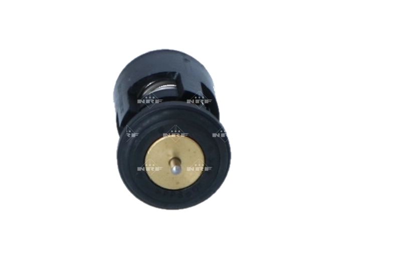 Thermostat, coolant 725133