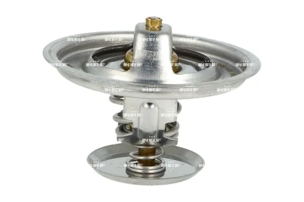 Thermostat, coolant 725198