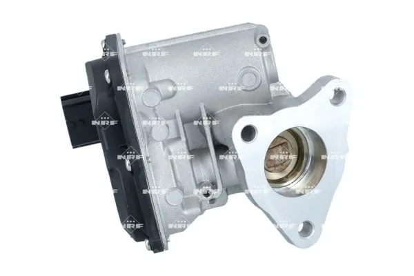EGR Valve 48700