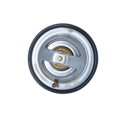 Thermostat, coolant EASY FIT 725077