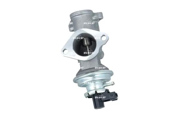 EGR Valve 48702